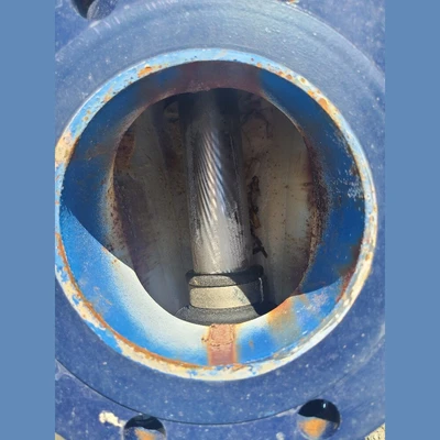 Used 2017 SEEPEX INC. BN52-12 Positive Displacement Pumps British Columbia CA | Savona Equipment LTD #1394915