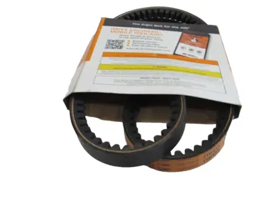 NEW TIMKEN BX50 GOLD RIBBON COG-BELT