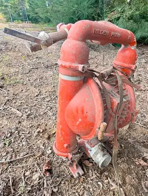 Used WILDEN 15 DIAPHRAGM PUMP Positive Displacement Pumps Pennsylvania US | East West Machinery & Drilling #1417838