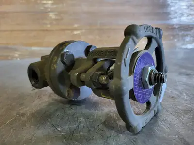1/2", Class 800, Gate Valve, B16.34