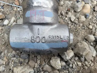 1" Class 800 Globe Valve API 602