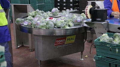 New | in-Stock TONG ENGINEERING _UNKNOWN_ Accumulation Tables Georgia US | Snap Equipment #1546470