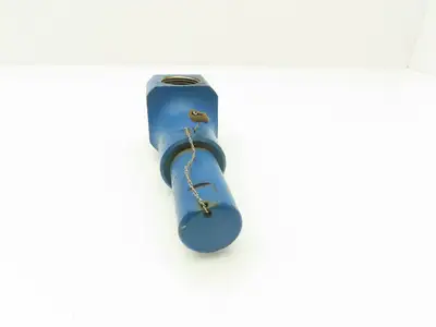 Leser LLC 4373.2602 Safety Relief Valve 30PSI Setpoint 1/2" NPT X 1" NPT