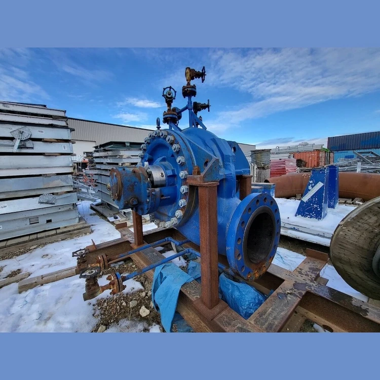 Used 2006 RUHRPUMPEN _UNKNOWN_ Pumps | Savona Equipment LTD #1166877