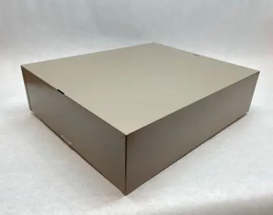 Used FISHER SCIENTIFIC 6-DRAWER MICROSCOPE SLIDE CABINET Microscope Accessories | Maverick Industrial Sales #1107346