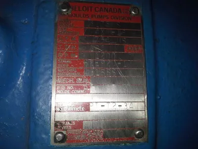 USED Goulds 3175