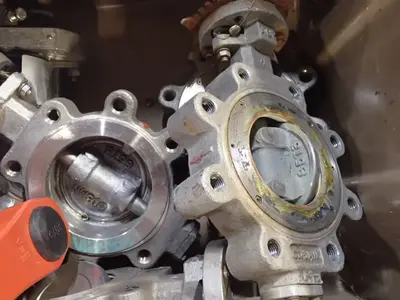 Butterfly Valve