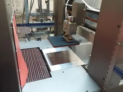USED 2007 ARPAC 107-20