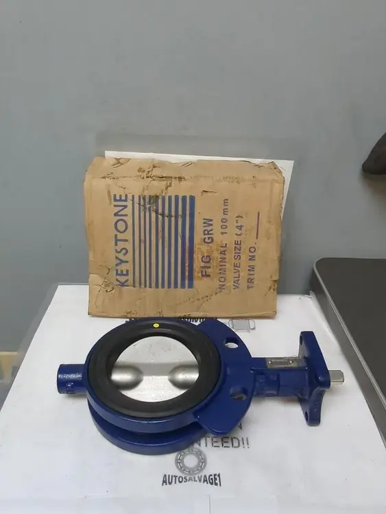 New | in-Stock KEYSTONE N 100/NPS 4 Pump & Valve Parts Ohio US | Surplus Asset Holdings #1247240