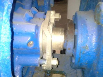 USED Goulds 3175