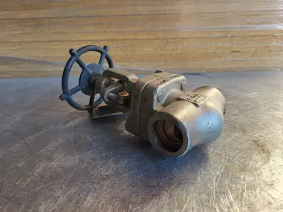 1" Class 800 Globe Valve B16.34