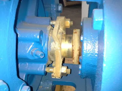 USED Goulds 3175