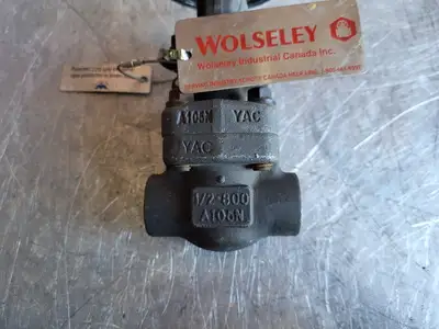 1/2" Class 800 Gate Valve B16.34