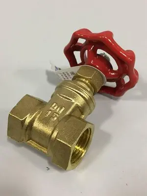 NEW RUIGE VALVE665