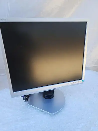 PHILIPS MONITOR MNB1190T WITH LOGITECH RX 250 MOUSE