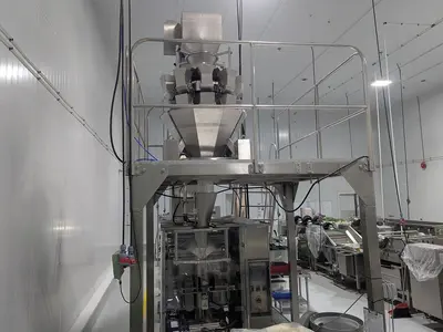 USED 2024 JINGYI S&T INDUSTRY (DALIAN) AUTOMATION ENGINEERING CO, LTD. JYKG-MD10-1