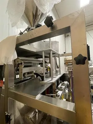 TDI Form, Fill and Seal with Piston Filler
