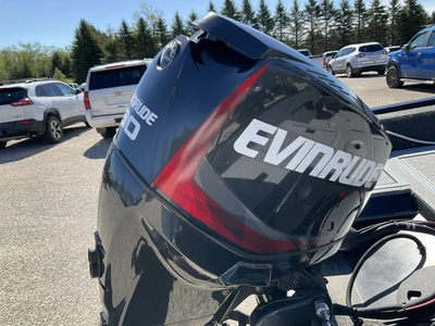 USED 2017 STARCRAFT RENEGADE 168