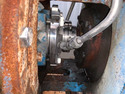USED Goulds 3175