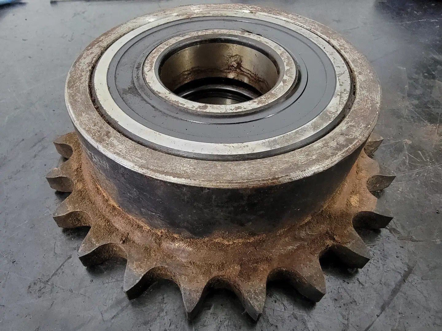 Roller Chain Sprocket 80B22 w/ Bearing
