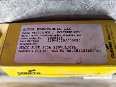 NEW BUSSMANN FWX-300A