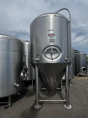 USED 2020 BSV (BLACKSTONE) 30FV