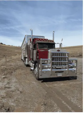 Used PETERBILT _UNKNOWN_ Livestock Trailers Pennsylvania US | Trustworthy Equipment #1403449