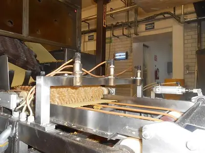 Haas 80 Plate Wafer Oven Complete Wafer Line