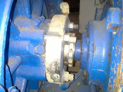 USED Goulds 3175
