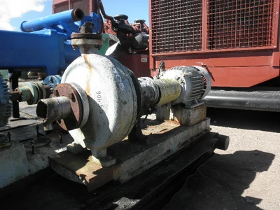 USED GOULDS 3196