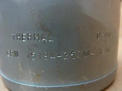 NEW THERMAL CORP 200