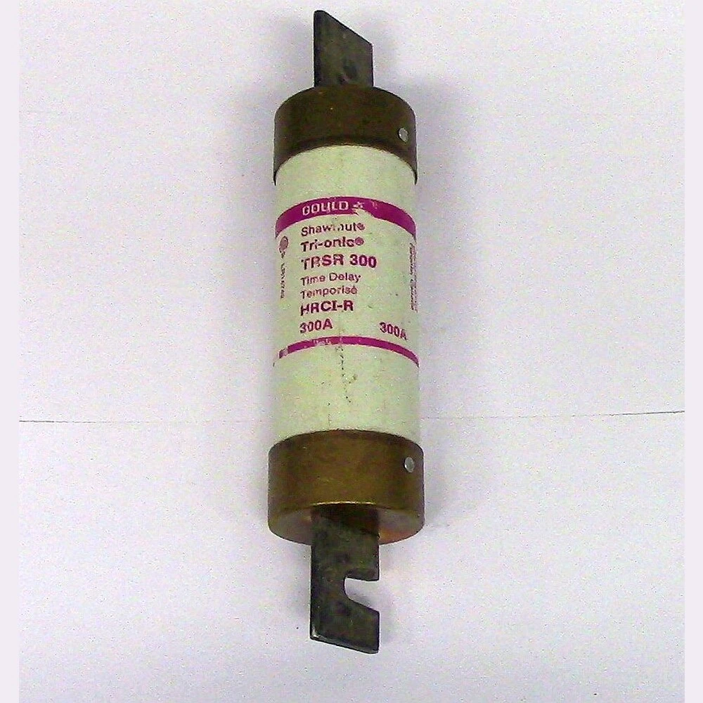 Gould 300 Amp Type D Fuse