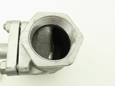 IOK HM Horizontal Gravity Lift Check Valve 2-1/2" NPT