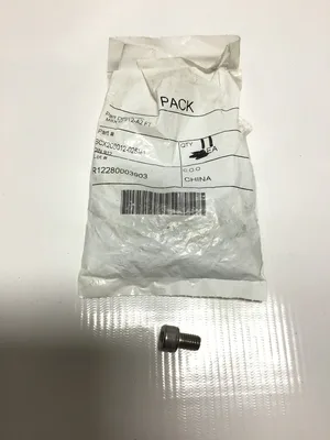 Allen Bolts SS SCX208012-025M1 (Lot of 11)