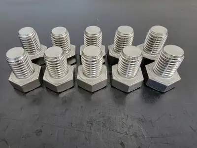 THE 3/4" x 1" S31600 Stainless Steel Hex Bolt (Pack of 10)