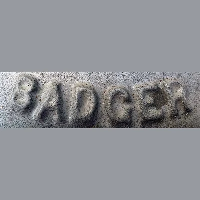 Badger 1.5 Inch Flow Meter Valve