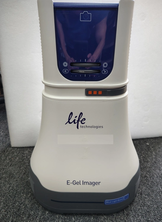 Used THERMO SCIENTIFIC _UNKNOWN_ Electrophoresis California US | Biotech Equipment Sales #1464409