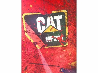 2011 CATERPILLAR 511 FELLER BUNCHER | Iron Listing (11)