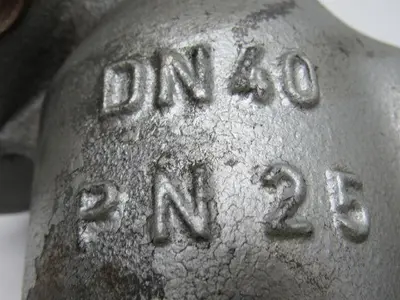 ARI PN25 DN40 Strainer Y-Pattern with Flanges