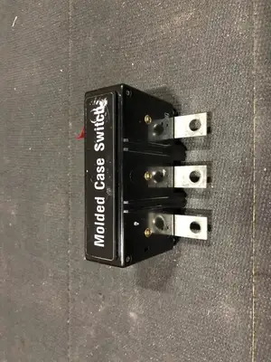 Molded Case Switch 1492D92G05