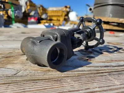 2019 3/4" Class 800 Globe Valve API 602