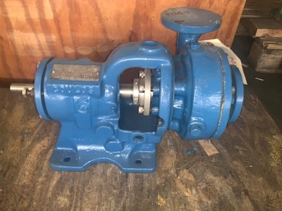 USED Goulds 3199
