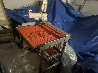 Berry Sizing Conveyor