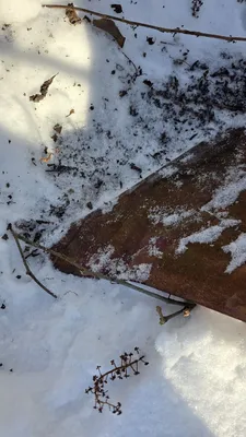 INTERNATIONAL 720 Plows | Iron Listing (19)