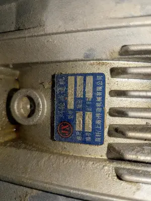 SS Auger Conveyor