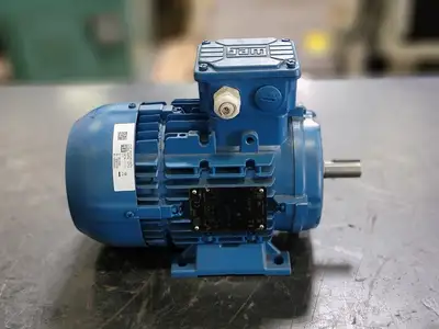 Used 2022 WEG TE01A0X0T0000300438 Motors (misc) British Columbia CA | Lenmark #246663