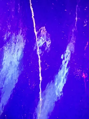 1986 DEDIETRICH . REACTORS | EcReCon Inc (8)