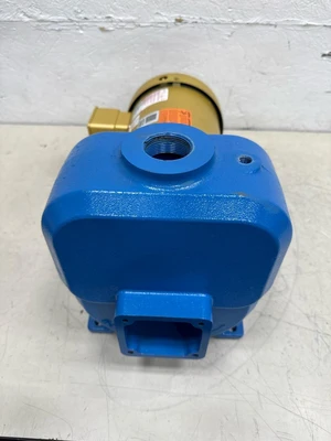 Goulds _UNKNOWN_ Centrifugal Pumps | Fram Fram LLC (8)
