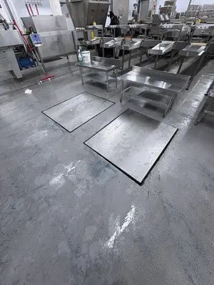 Used 2017 SANOVO 100 Egg Systems Illinois US | Machinery Marketing International #1314132