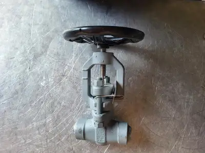 1" 1500 PSI Globe Valve
